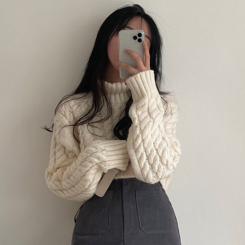 Autumn and Winter Extra Thick Warm Turtleneck Pullover Sweater with Retro Twist