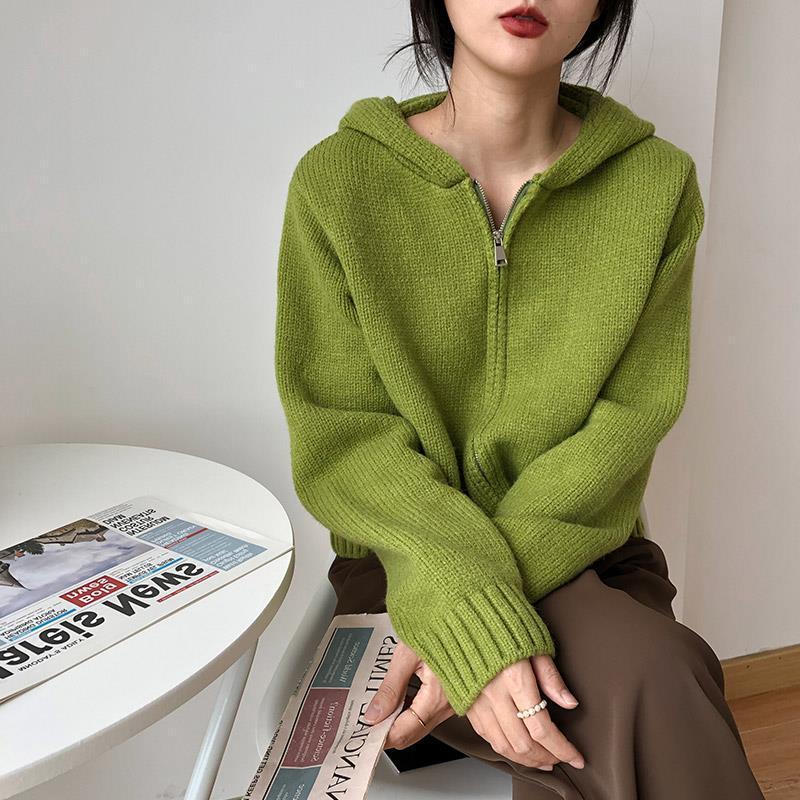 High-Quality Korean Sweater for Women, Padded Top Outerwear