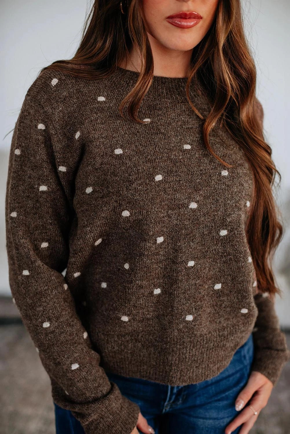 Women's Fashion Round Neck Long Sleeve Pullover Dotted Jacquard Sweater