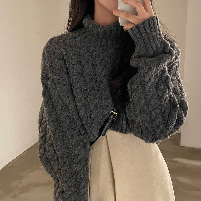 Autumn and Winter Extra Thick Warm Turtleneck Pullover Sweater with Retro Twist