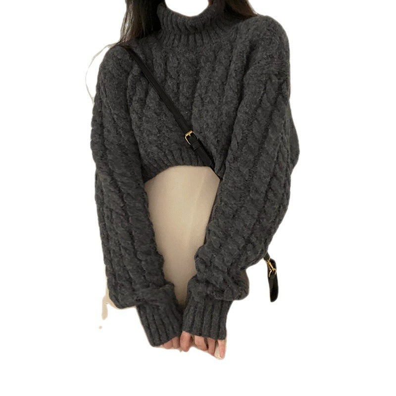 Autumn and Winter Extra Thick Warm Turtleneck Pullover Sweater with Retro Twist