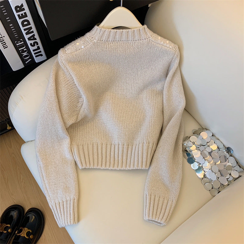 New Autumn and Winter Round Neck Knitwear Top for Women