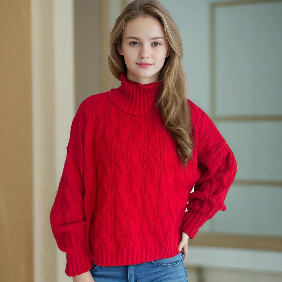 Loose Solid Color Turtleneck Pullover for Commuting