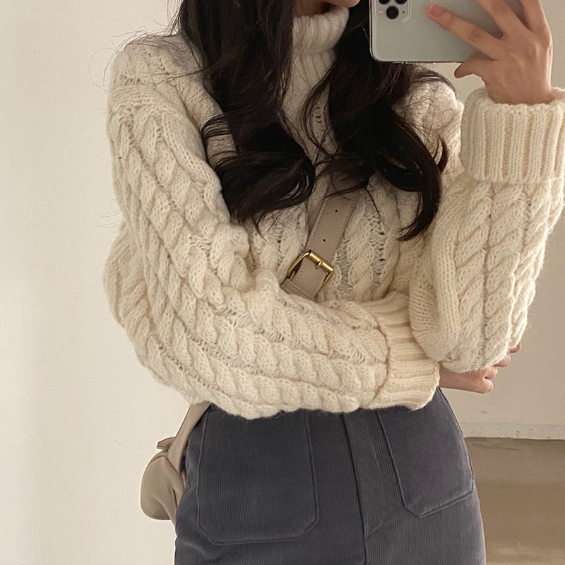 Autumn and Winter Extra Thick Warm Turtleneck Pullover Sweater with Retro Twist